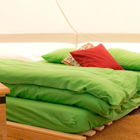 Yha Beer Hostel Seaton  Bagian luar foto